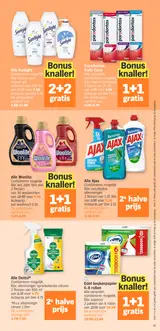 Pagina 31