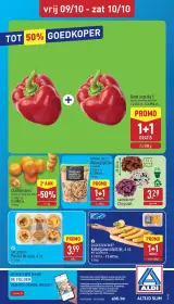 Pagina 33