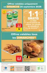 Pagina 44