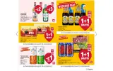 Pagina 16