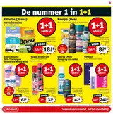 Pagina 19