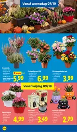 Pagina 38