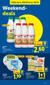 Pagina 39