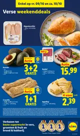 Pagina 42