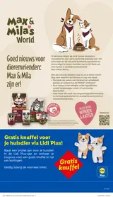 Pagina 43