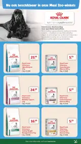 Pagina 8