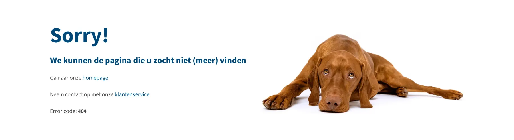 Voorpagina van de Medpets folder